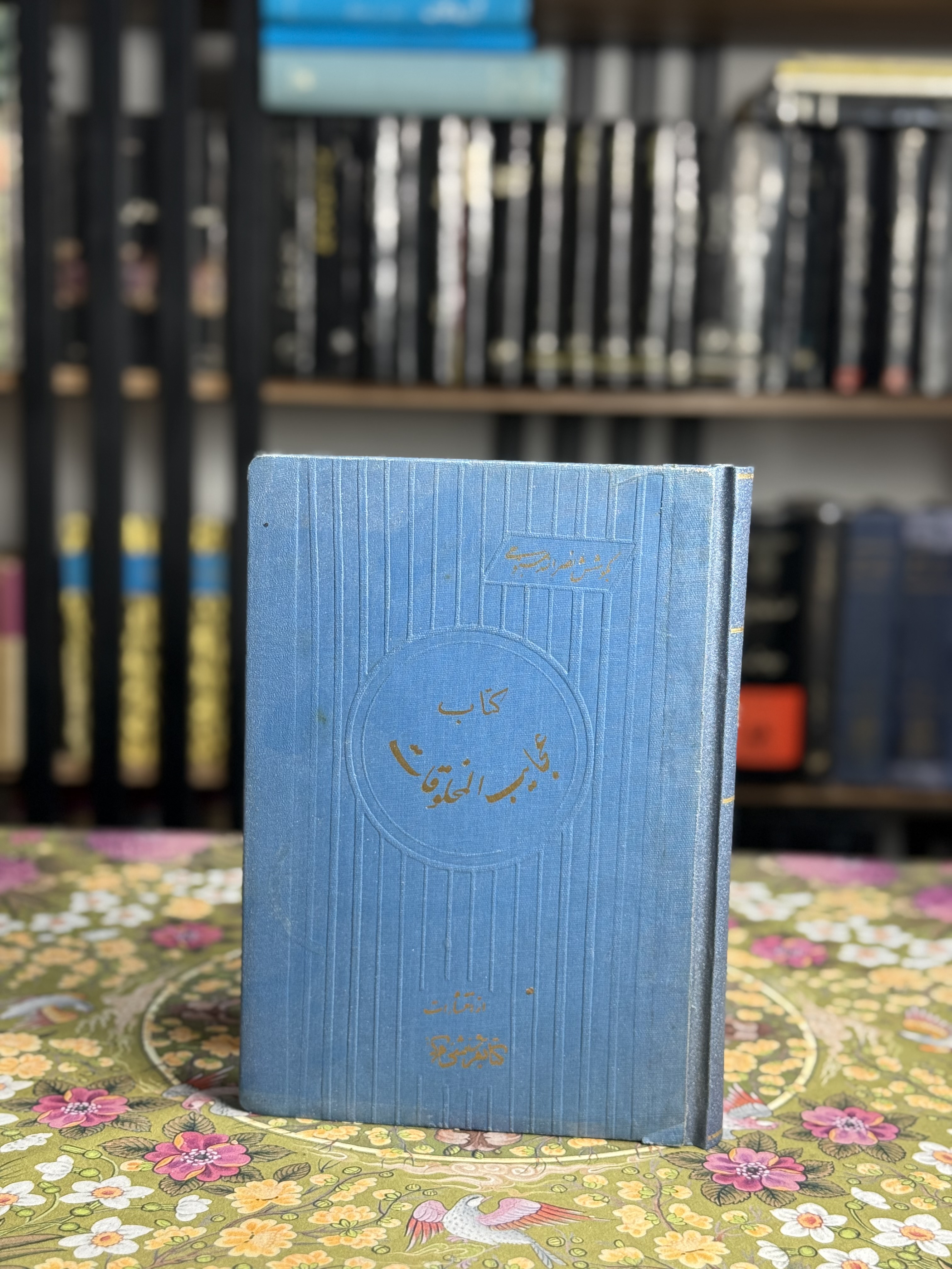 عجايب مخلوقات