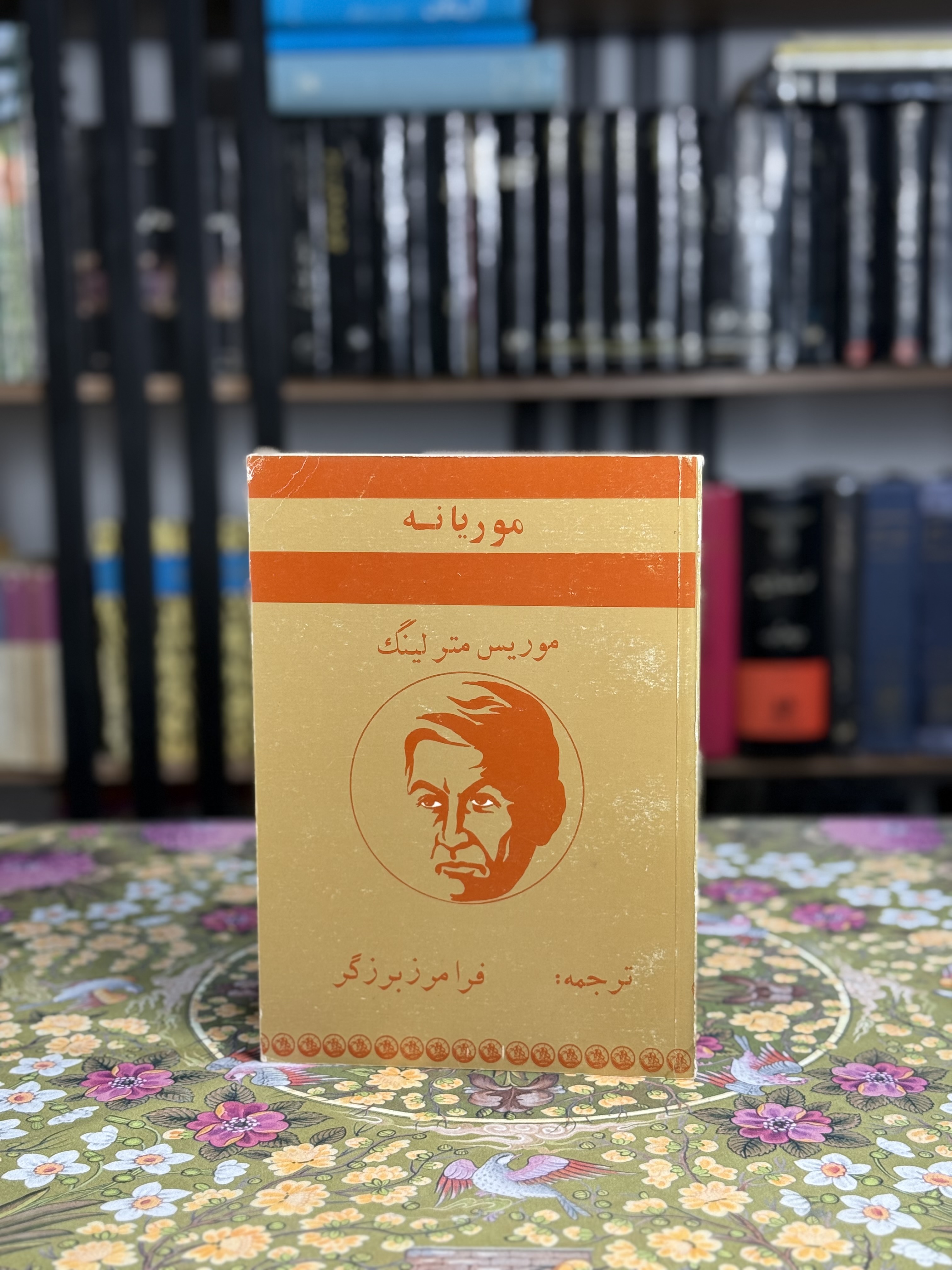 موریانه