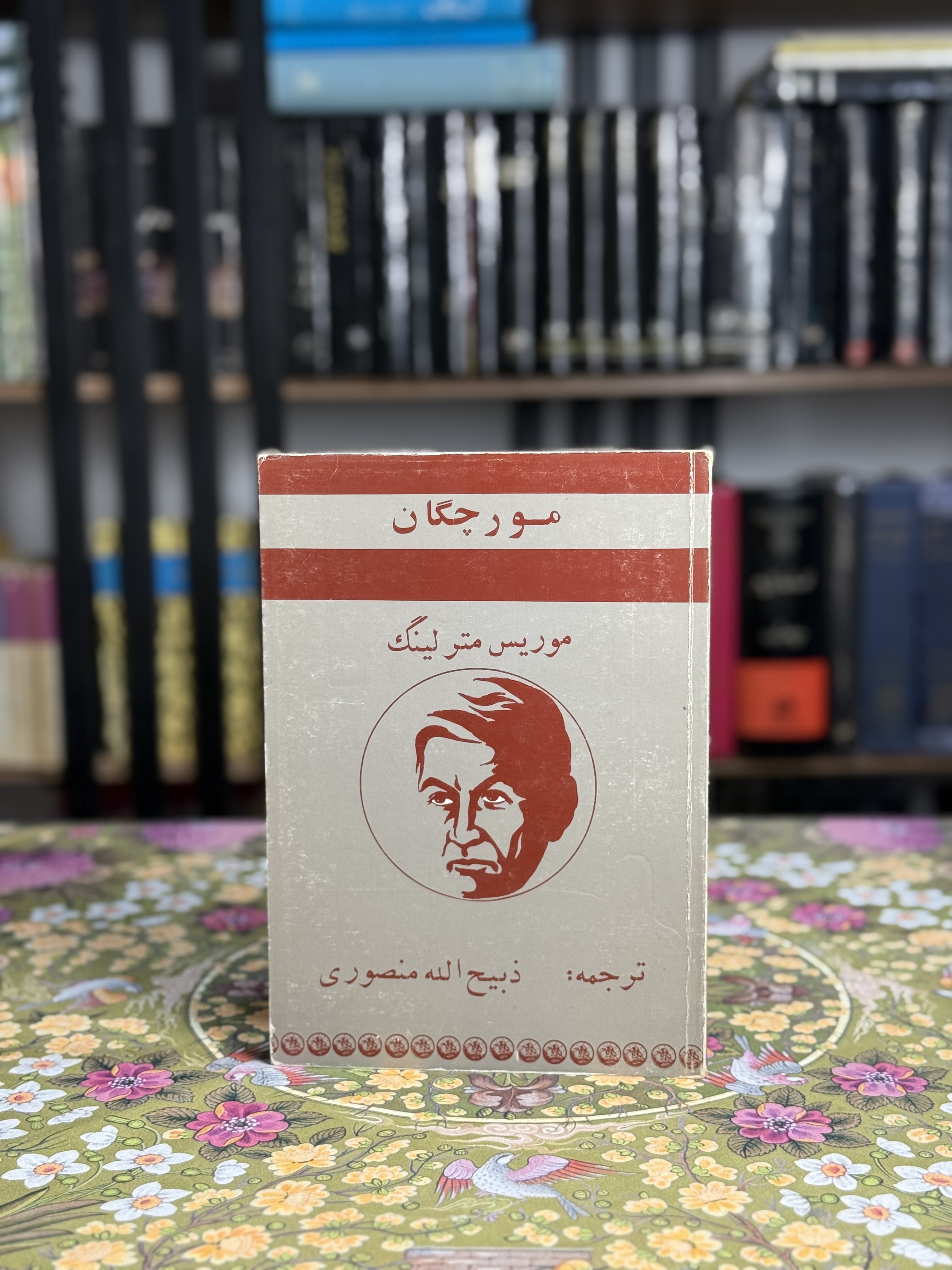 مورچگان