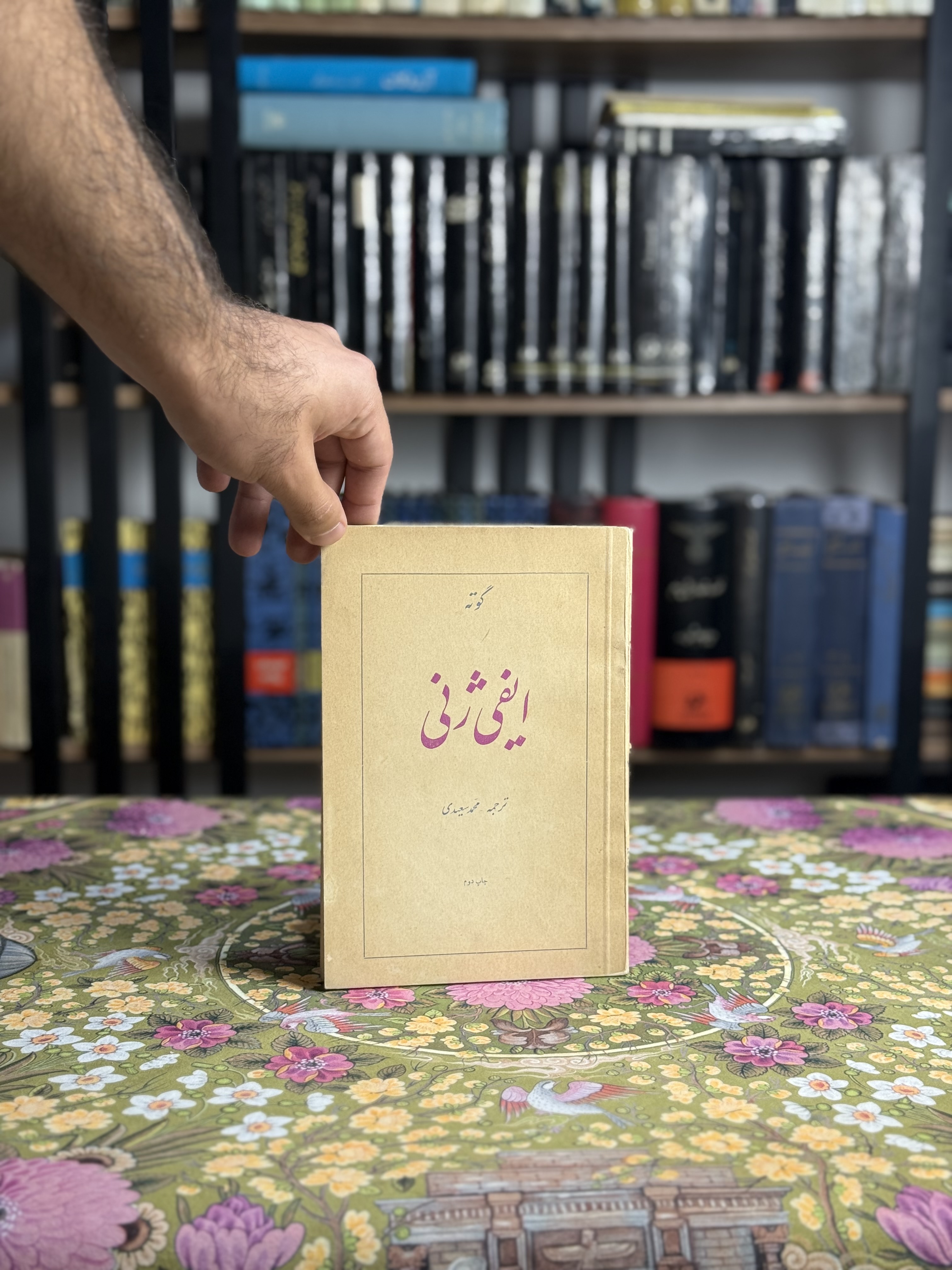 ايفي ژني