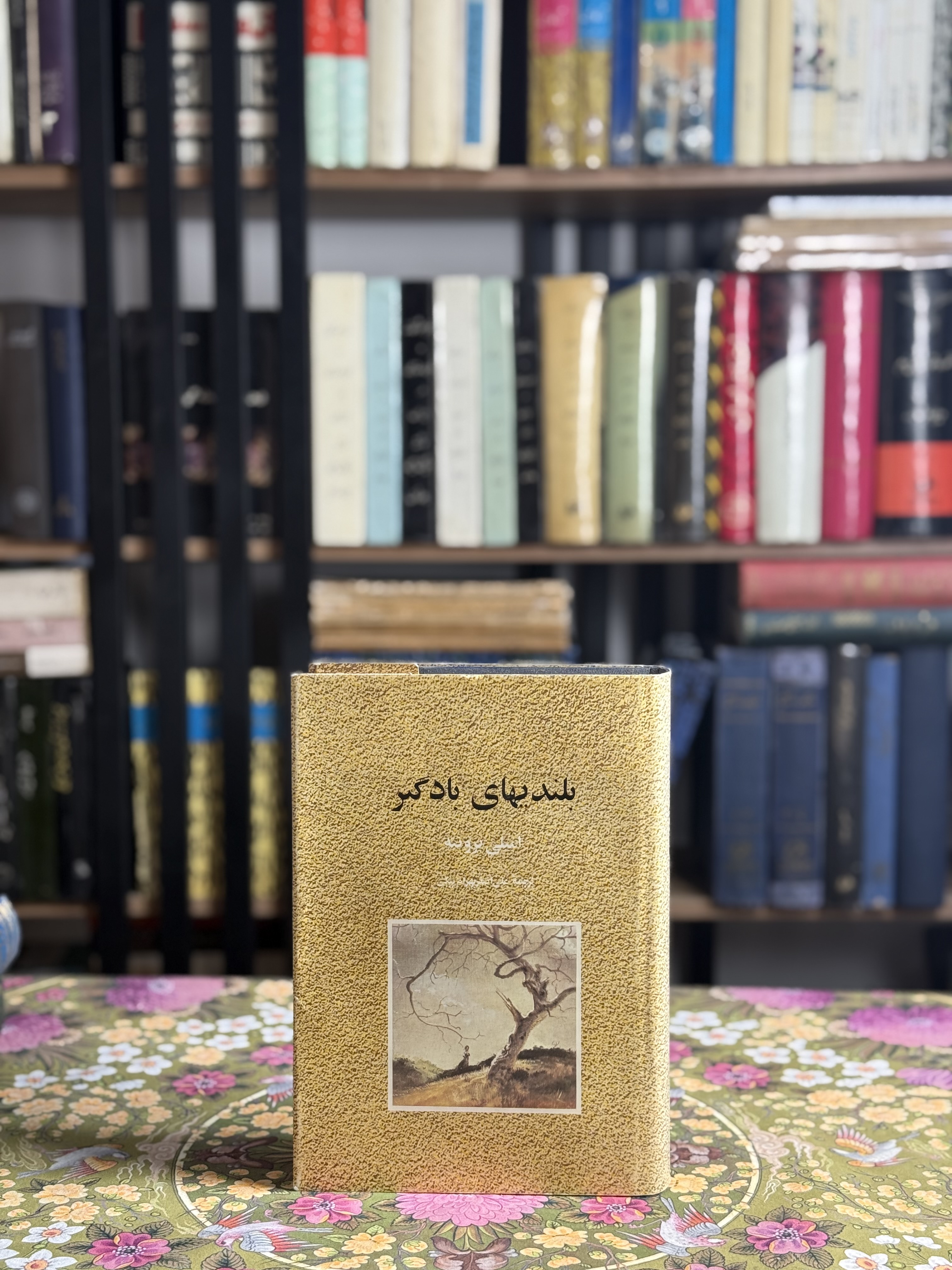 بلندى هاى بادگير